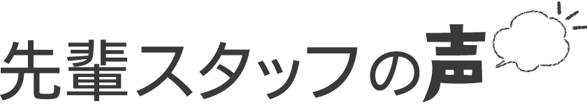 先輩スタッフの声